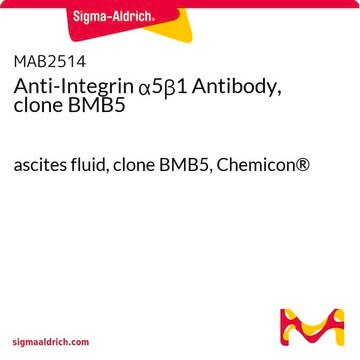 Anti-Integrin &#945;5&#946;1 Antibody, clone BMB5 ascites fluid, clone BMB5, Chemicon&#174;