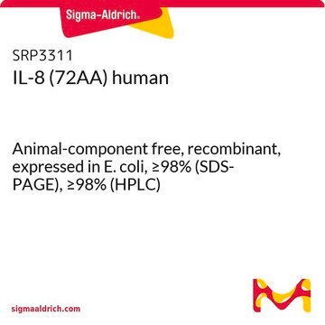 IL-8 (72AA) human Animal-component free, recombinant, expressed in E. coli, &#8805;98% (SDS-PAGE), &#8805;98% (HPLC)