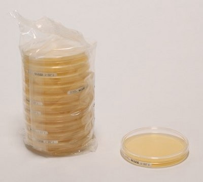 Trypton-Soja-Agar Sedimentationsplatte EP, USP, ICR plate for long incubation period, sterile; aseptically filled, plate diam. 90&#160;mm, suitable for air monitoring