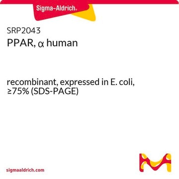 PPAR, &#945; human recombinant, expressed in E. coli, &#8805;75% (SDS-PAGE)