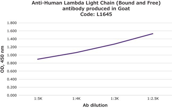 Anti-Human Lambda Light Chain (Bound and Free) antibody produced in goat affinity isolated antibody, buffered aqueous solution