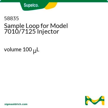 Probenschleife für Modell 7010/7125 Einspritzvorrichtung volume 100&#160;&#956;L