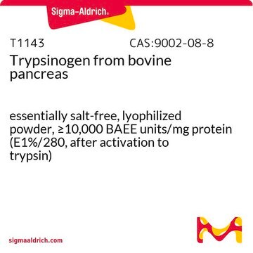 Trypsinogen aus Rinderpankreas essentially salt-free, lyophilized powder, &#8805;10,000&#160;BAEE units/mg protein (E1%/280, after activation to trypsin)