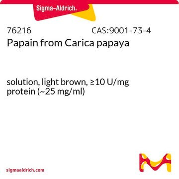 Papain from Carica papaya solution, light brown, &#8805;10&#160;U/mg protein (~25 mg/ml)