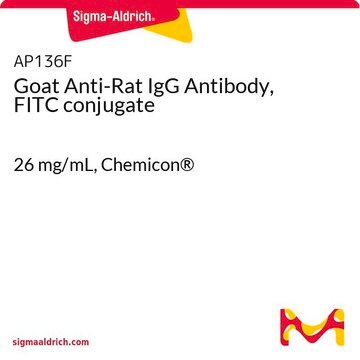 Goat Anti-Rat IgG Antibody, FITC conjugate 26&#160;mg/mL, Chemicon&#174;