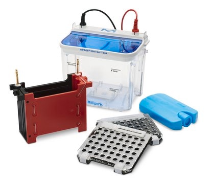 mPAGE&#174; Mini Wet Transfer System for transfer of proteins from a mini acrylamide gel to blotting membrane, accommodates two wet transfer cassettes