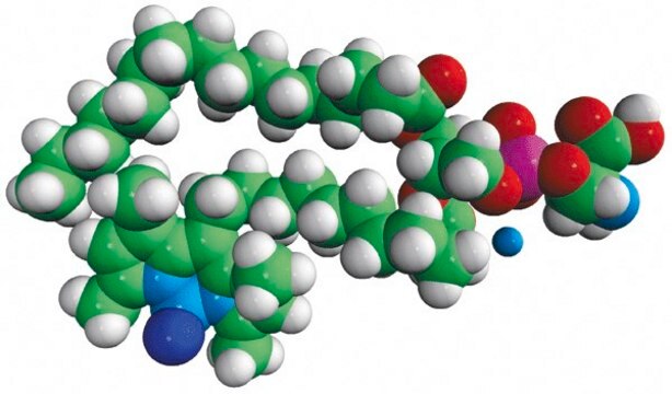 TopFluor&#174; PS Avanti Polar Lipids 810283C