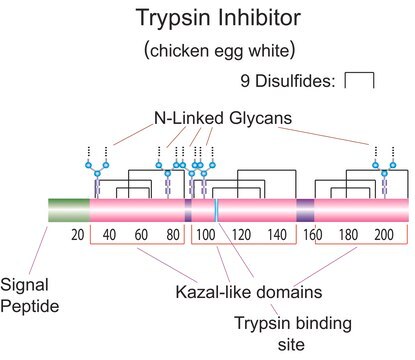 Trypsin-Inhibitor aus Hühnereiweiss Type II-O, Partially purified ovomucoid, containing ovoinhibitor