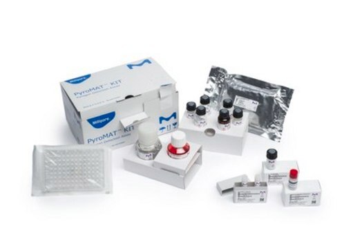 PyroMAT&#174; Interleukin IL-6 standard Interleukin-6 standard for use in the Monocyte Activation Test (MAT) for Pyrogen testing