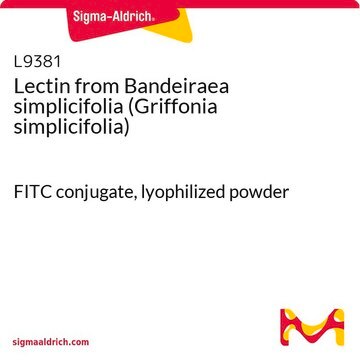 Lectin from Bandeiraea simplicifolia (Griffonia simplicifolia) FITC conjugate, lyophilized powder