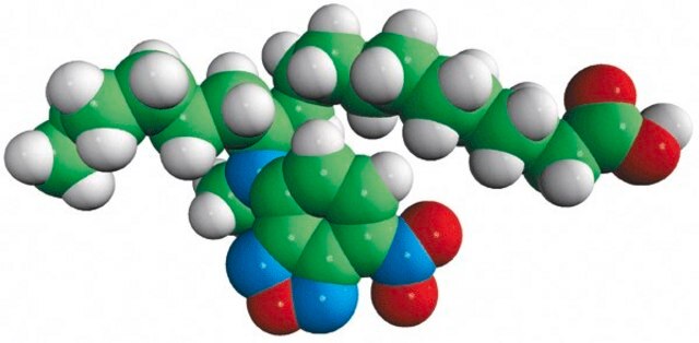 12-NBD Stearate Avanti Polar Lipids 810110P, powder