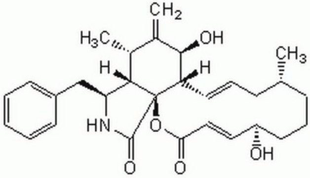 Cytochalasin&nbsp;B, Helminthosporium dematioideum Cell-permeable fungal toxin.