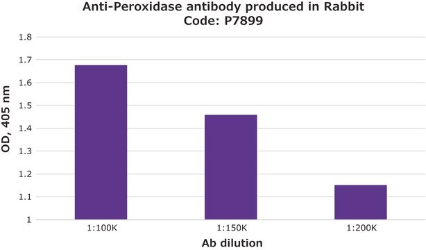 Anti-Peroxidase antibody produced in rabbit fractionated antiserum, lyophilized powder