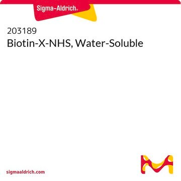 Biotin-X-NHS, wasserlöslich