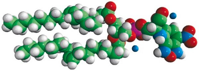 18:1 NBD PS Avanti Polar Lipids 810198C