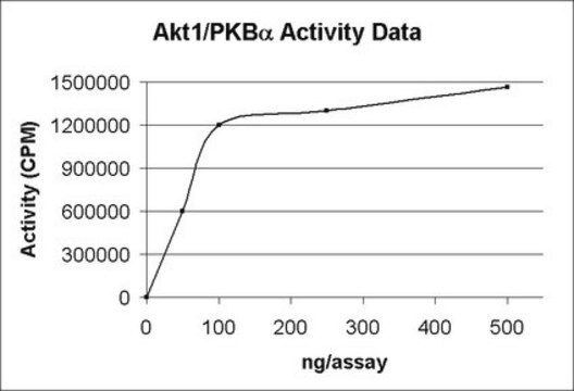 Akt1/PKB&#945; Protein, active, 15 &#181;g Active, recombinant full-length human Akt1, containing N-terminal His6 tag, for use in IP-Kinase Assays &amp; Kinase Assays.