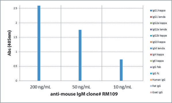 Anti-Mouse IgM-Biotin antibody, Rabbit monoclonal recombinant, expressed in HEK 293 cells, clone RM109, purified immunoglobulin