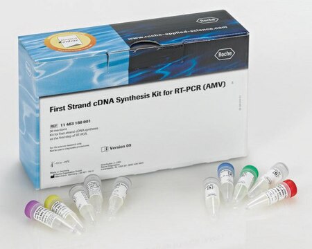 First Strand cDNA Synthesis Kit for RT-PCR (AMV) sufficient for 30&#160;reactions (including 5 control reactions), kit of 1 (10 components), suitable for RT-PCR, hotstart: no, dNTPs included