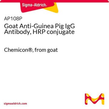 Anti-Meerschweinchen-IgG-Antikörper der Ziege, HRP-Konjugat Chemicon&#174;, from goat