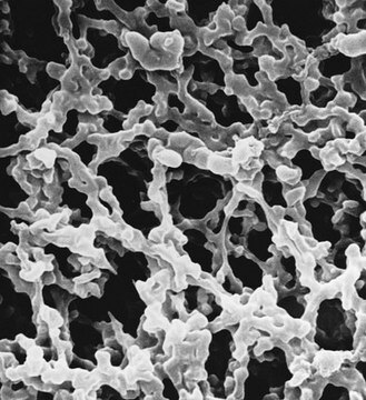 MF-Millipore&#8482;-Membranfilter, Porengröße 0,22&nbsp;&#181;m MF-Millipore&#8482;, filter diam. 47&#160;mm, hydrophilic, white