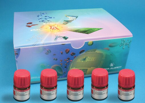 N-Heterozyklische Carben-Liganden Kit I