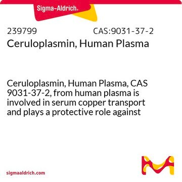 Ceruloplasmin, Human Plasma Ceruloplasmin, Human Plasma, CAS 9031-37-2, from human plasma is involved in serum copper transport and plays a protective role against oxygen radicals generated by iron and ascorbate.