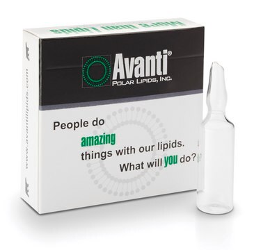 Fluorescent Transfection Reagent Avanti Polar Lipids 790326P, powder