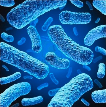 Tuner(DE3)pLysS Competent Cells - Novagen Tuner host strains are lacZY deletion mutants of BL21, which enable adjustable levels of protein expression throughout all cells in a culture. T7 lysozyme expression suppresses basal T7 expression.