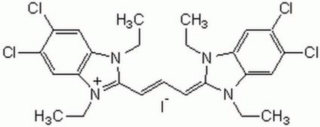 JC-1 A cationic, fluorescent, carbocyanine dye that can be used as a ratiometric indicator of mitochondrial potential &#948;&#936;m in cells, tissues, and isolated mitochondria.