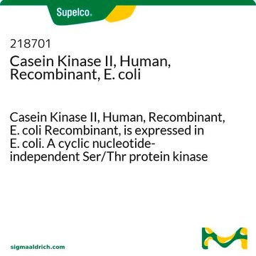 Casein Kinase II, Human, Recombinant, E. coli Casein Kinase II, Human, Recombinant, E. coli Recombinant, is expressed in E. coli. A cyclic nucleotide-independent Ser/Thr protein kinase composed of catalytic &#945;-subunits and regulatory &#946;-subunits.