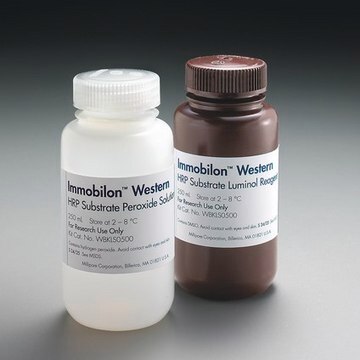 Immobilon Western chemilumineszentes HRP-Substrat Immobilon Western HRP Substrate provides high sensitivity for Chemiluminescent detection in western or dot/slot/spot blotting applications on both PVDF and nitrocellulose membranes, and is compatible with all commonly used buffers and blocking reagents.