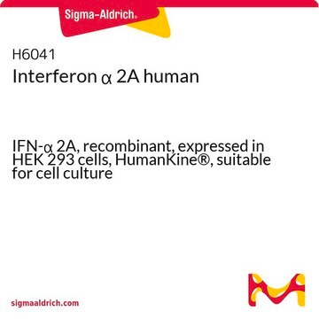 Interferon &#945; 2A human IFN-&#945; 2A, recombinant, expressed in HEK 293 cells, HumanKine&#174;, suitable for cell culture