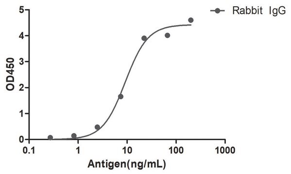 Goat Anti-Rabbit IgG(Fc&#947;) HRP Alpaca Heavy chain only Antibody recombinant Alpaca(VHH) Nano antibody