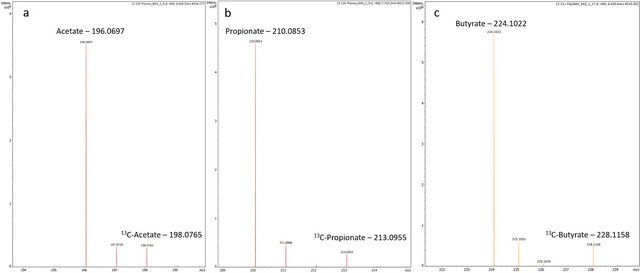 13C-Short Chain Fatty Acids Plasma Mixture Suitable for mass spectrometry