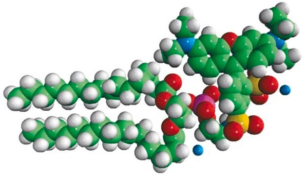 16:0 Liss Rhod PE Avanti Polar Lipids 810158C