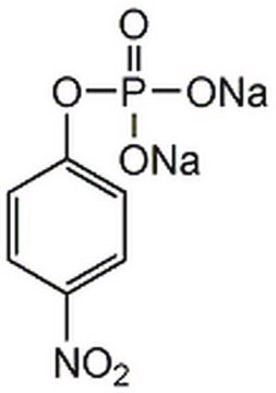 p-Nitrophenylphosphat, Dinatriumsalz, Hexahydrat p-Nitrophenyl Phosphate, Disodium Salt, Hexahydrate, CAS 4264-83-9, is an excellent substrate for alkaline phosphatase-based ELISA assays. Produces yellow soluble end product (405-410 nM).