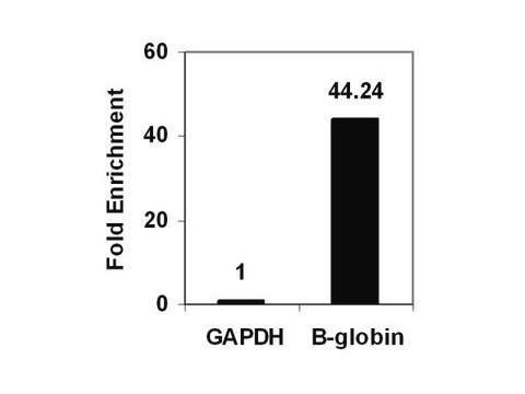 ChIPAb+ Dimethyl-Histone H3 (Lys9) - ChIP Validated Antibody and Primer Set serum, from rabbit