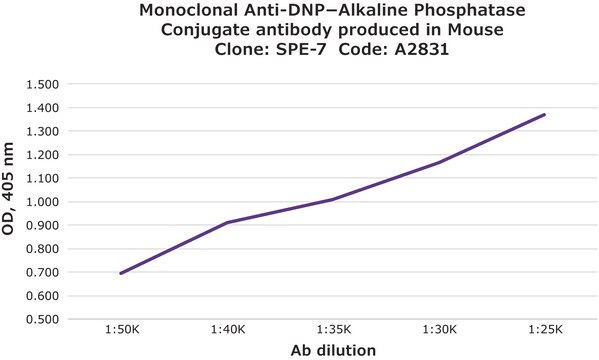 Monoclonal Anti-DNP&#8722;Alkaline Phosphatase Conjugate antibody produced in mouse clone SPE-7, purified immunoglobulin, buffered aqueous glycerol solution