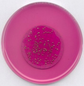 m-ENDO-Agar LES GranuCult&#174;, APHA, suitable for microbiology, for coliforms