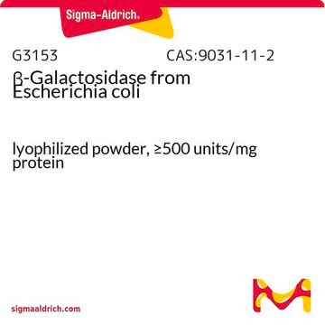 &#946;&#946;-Galactosidase aus E. coli lyophilized powder, &#8805;500&#160;units/mg protein