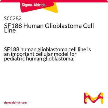 SF188 Human Glioblastoma Cell Line SF188 human glioblastoma cell line is an important cellular model for pediatric human glioblastoma.