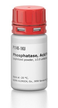 Phosphatase, sauer aus Kartoffeln lyophilized powder, &#8805;3.0&#160;units/mg solid