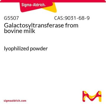 Galactosyltransferase from bovine milk lyophilized powder