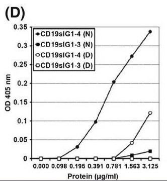 Anti-Human-B-Zellen (CD19)-Antikörper, Klon&nbsp;FMC63 clone FMC63, Chemicon&#174;, from mouse