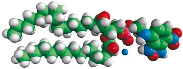 16:0 NBD PE Avanti Polar Lipids 810144C