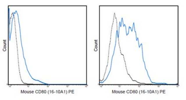 Anti-CD80 (B7-1) Antibody (mouse), PE, clone 16-10A1 clone 16-10A1, 0.2&#160;mg/mL, from hamster(Armenian)