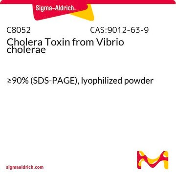 Choleratoxin aus Vibrio cholerae &#8805;90% (SDS-PAGE), lyophilized powder