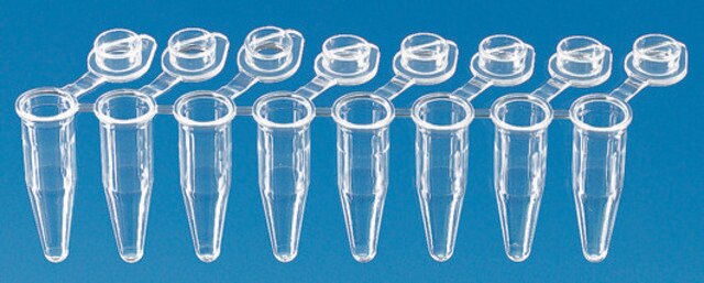 BRAND&#174; PCR-Röhrchen, Streifen zu je 8&nbsp;Stück attached transparent single caps, standard profile, capacity 0.2&#160;mL, white wells