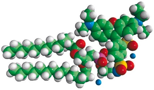 14:0 Liss Rhod PE Avanti Polar Lipids 810157P, powder