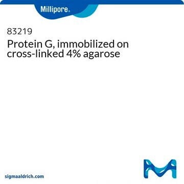 Protein&#160;G, immobilisiert auf kreuzvernetzter 4&nbsp;% Agarose